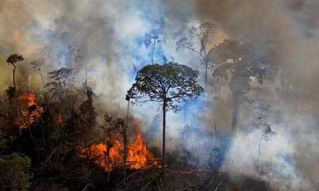 What’s Happening in the Amazon Right Now Is Terrifying Scientists