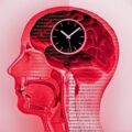 Intermittent Fasting Linked to Changes in Human Brain Activity