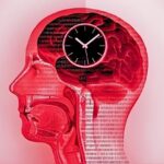 Intermittent Fasting Linked to Changes in Human Brain Activity