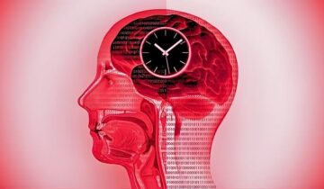 Intermittent Fasting Linked to Changes in Human Brain Activity