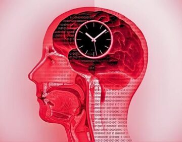 Intermittent Fasting Linked to Changes in Human Brain Activity