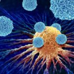 New Antibody Treatment Reawakens Immune System To Fight Pancreatic Cancer