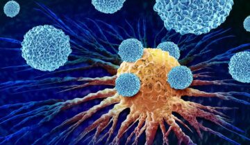 New Antibody Treatment Reawakens Immune System To Fight Pancreatic Cancer