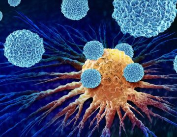 New Antibody Treatment Reawakens Immune System To Fight Pancreatic Cancer