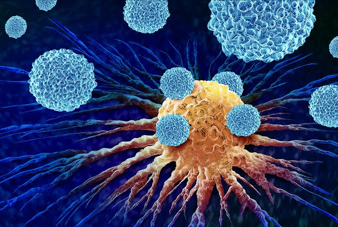 New Antibody Treatment Reawakens Immune System To Fight Pancreatic Cancer