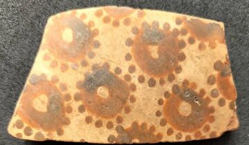 Scientists Found Hidden Math in Ancient Flower Art