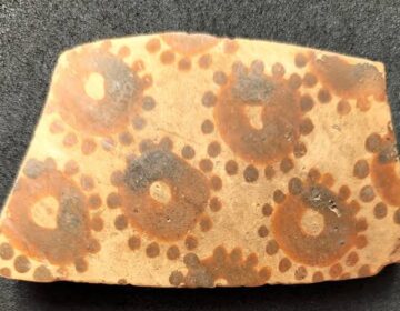 Scientists Found Hidden Math in Ancient Flower Art