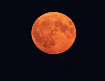 Pakistan witnesses first supermoon of 2026