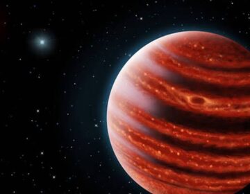 Super-low-density worlds reveal how common planetary systems form
