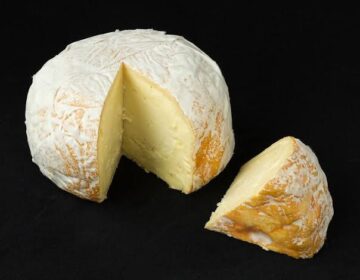 Scientists Discover a High-Protein Diet Could Dramatically Reduce Cholera Infections