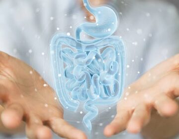 This Immune Therapy Repaired Gut Damage for a Full Year