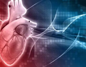 Scientists Uncover Potential “Two-in-One” Treatment for Diabetes and Heart Disease