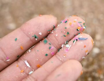 New Study Reveals How Nanoplastics Make Bacteria More Dangerous