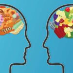 How Exercise Heals the Gut and Mind After a Junk Food Diet