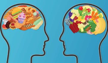 How Exercise Heals the Gut and Mind After a Junk Food Diet