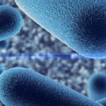 Why Antibiotics Aren’t Enough for Some Chronic Wounds