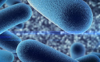 Why Antibiotics Aren’t Enough for Some Chronic Wounds