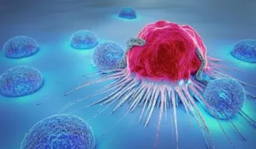 New Treatment Wipes Out Cancer Cells Without Harming Healthy Tissue