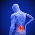Scientists Discover a New Way To Stop Pain Nerves From Invading the Spine