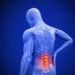 Scientists Discover a New Way To Stop Pain Nerves From Invading the Spine