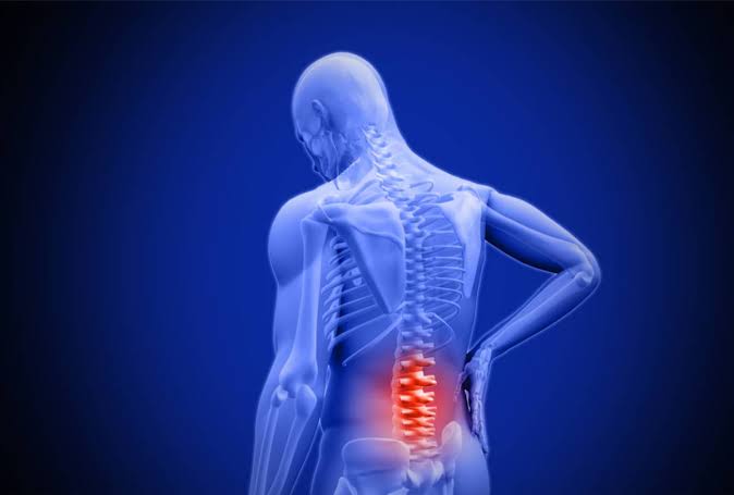 Scientists Discover a New Way To Stop Pain Nerves From Invading the Spine