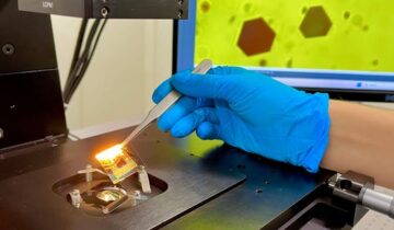 Golden Experiment Reveals the Invisible Forces Holding the Universe Together