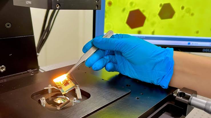 Golden Experiment Reveals the Invisible Forces Holding the Universe Together