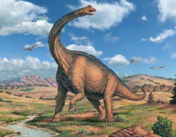 This Giant Dinosaur Walked in Circles 150 Million Years Ago – Scientists Uncover Its Secrets