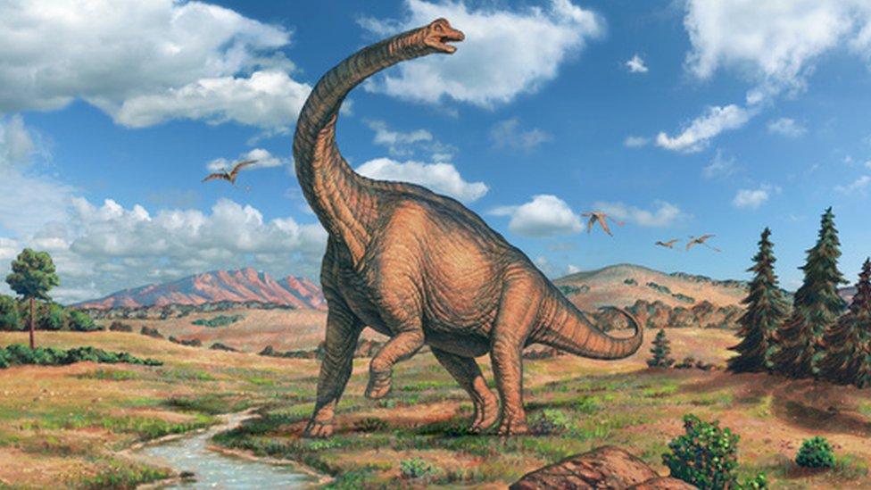 This Giant Dinosaur Walked in Circles 150 Million Years Ago – Scientists Uncover Its Secrets
