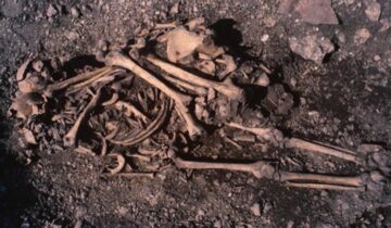 5,500-Year-Old Graves Reveal Surprising Stone Age Family Secrets