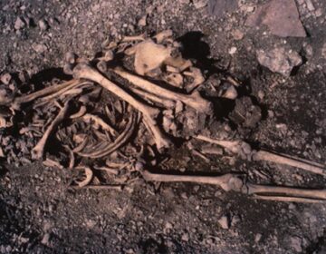 5,500-Year-Old Graves Reveal Surprising Stone Age Family Secrets
