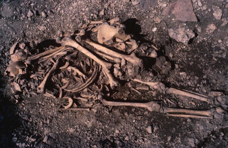 5,500-Year-Old Graves Reveal Surprising Stone Age Family Secrets