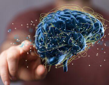 This AI Tool Can Tell If Your Brain Is Aging Too Fast