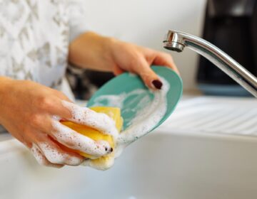 Scientists Say Washing Dishes With a Sponge Has a Concerning Side Effect