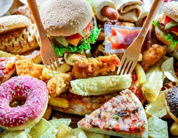 High fat, high sugar diet may leave lasting changes on brain, eating later in life