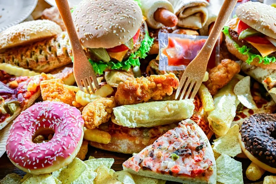 High fat, high sugar diet may leave lasting changes on brain, eating later in life