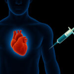 A Simple Injection Could Help the Heart Heal Itself After a Heart Attack