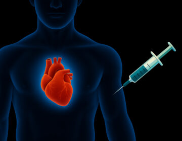 A Simple Injection Could Help the Heart Heal Itself After a Heart Attack