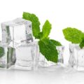 Why Mint Feels Cold: Scientists Reveal the Hidden Mechanism