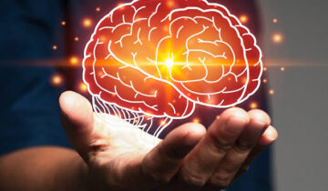 Stanford Scientists Uncover the Molecular Mistake That May Trigger Brain Aging