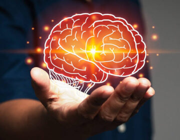 Stanford Scientists Uncover the Molecular Mistake That May Trigger Brain Aging