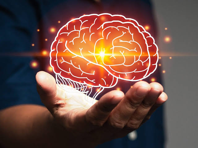 Stanford Scientists Uncover the Molecular Mistake That May Trigger Brain Aging