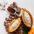Amazonian Chocolate Could Become the Next Superfood, Scientists Say