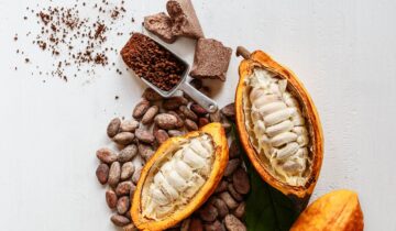 Amazonian Chocolate Could Become the Next Superfood, Scientists Say