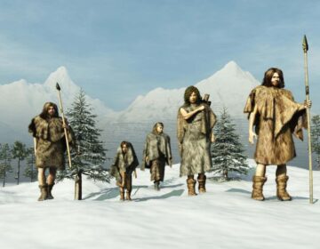 160,000 Years Ago, Hominins in China Were Far More Advanced Than We Thought