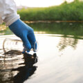 Hidden Parasite Found in Popular Portuguese Lake Raises Health Concerns