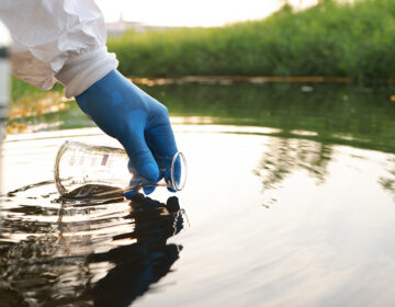Hidden Parasite Found in Popular Portuguese Lake Raises Health Concerns