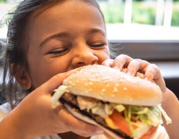 Childhood Junk Food May Rewire the Brain for Life