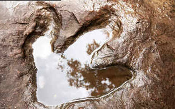 Scientists Discover 132-Million-Year-Old Dinosaur Tracks on South Africa’s Coast