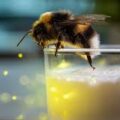 Bee Bacteria Could Fix a Major Flaw in Plant-Based Milk